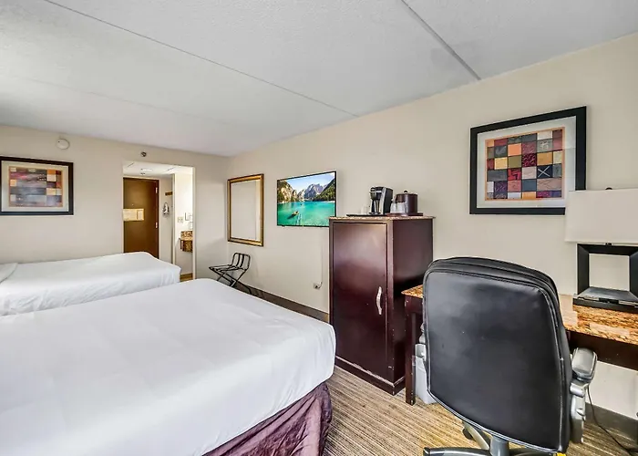 Radisson 3*